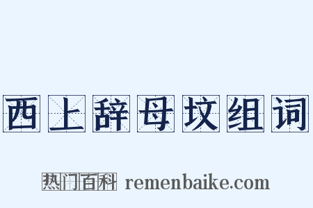 西上辞母坟组词是什么意思的图片